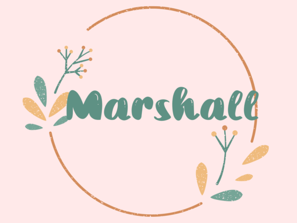 Marshall: Redefining Typography Through the Art of Handwritten Brush Strokes